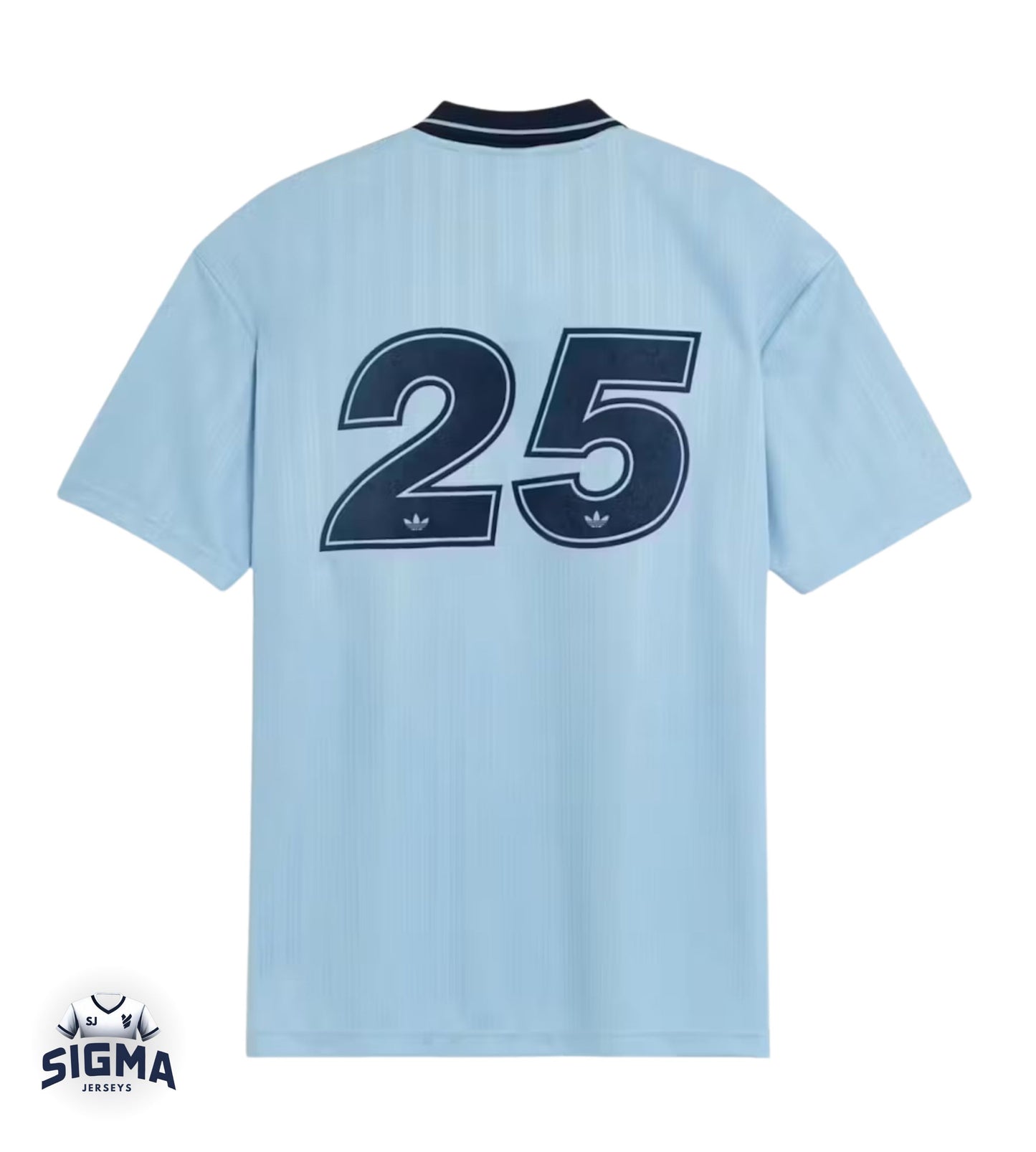 OASIS 2025 Blue